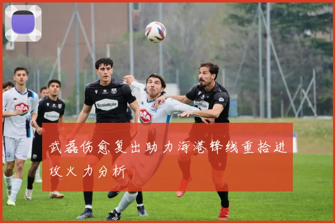 武磊伤愈复出助力海港锋线重拾进攻火力分析
