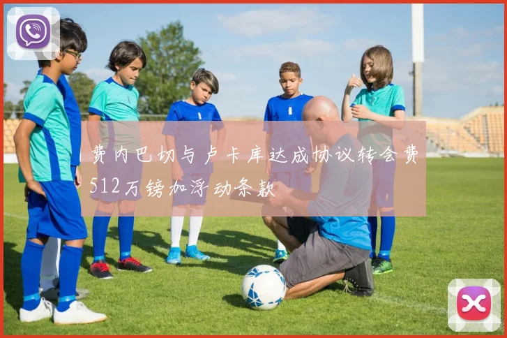 费内巴切与卢卡库达成协议转会费512万镑加浮动条款